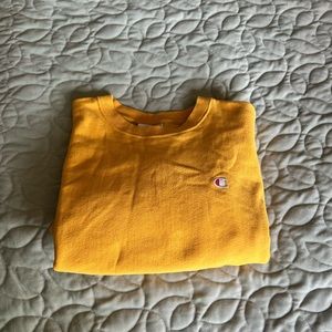 Champion Reverse Weave Large Crewneck